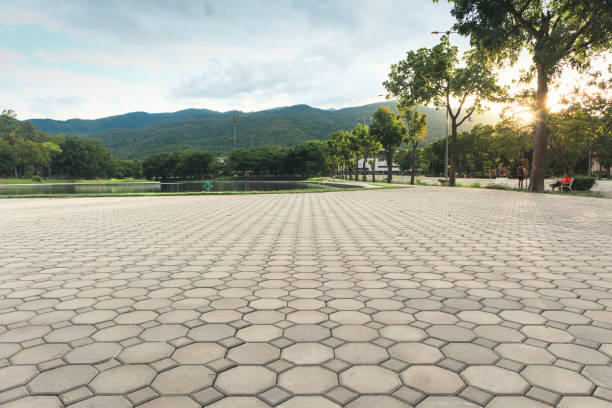 Best Custom Driveway Pavers  in Mcallen, TX