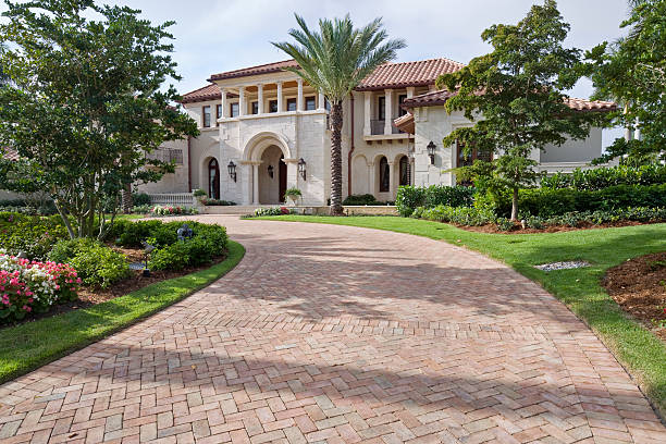 Best Driveway Paving Near Me  in Mcallen, TX